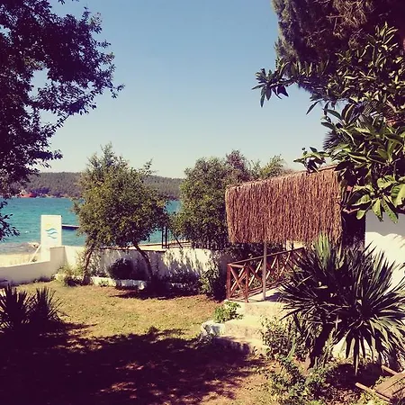 公寓式酒店 Sun Apart Guvercinlik (Bodrum)